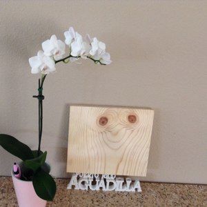 Meet your Posher, Manuel